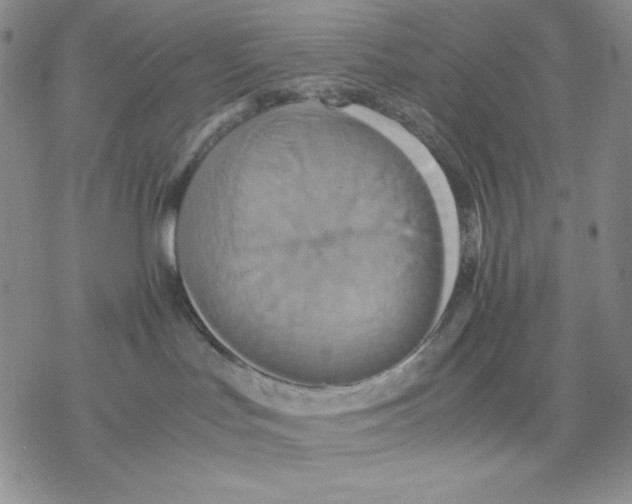 X0000077290047200611171638