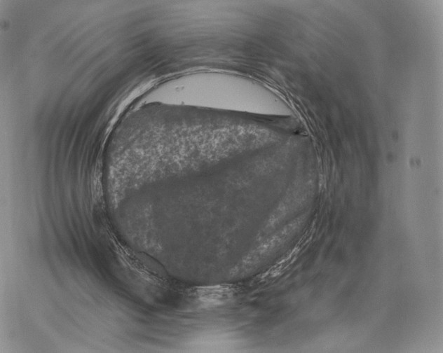 X0000077290050200611171637