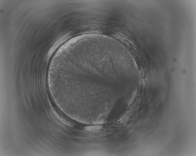 X0000077290051200611171637