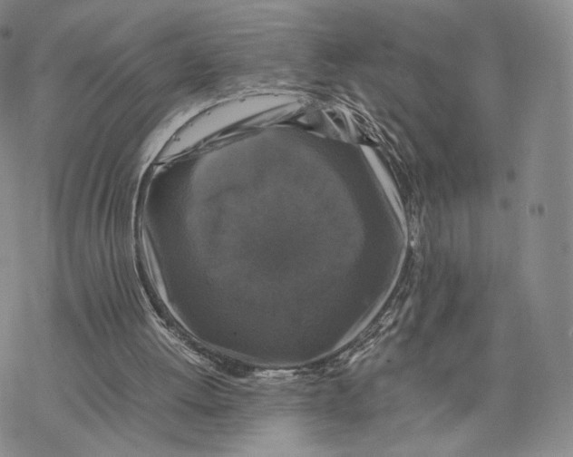 X0000077290052200611171637