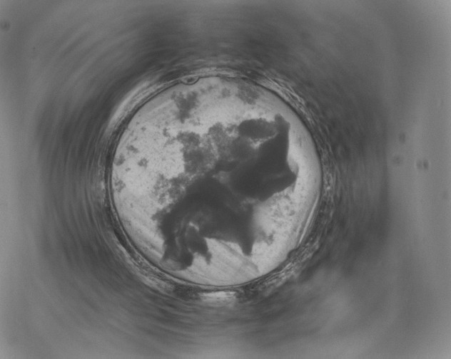 X0000077290053200611171637