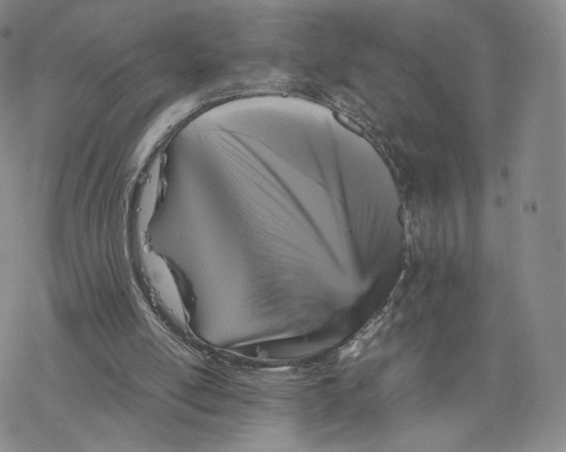 X0000077290054200611171637