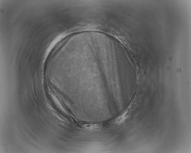 X0000077290056200611171637