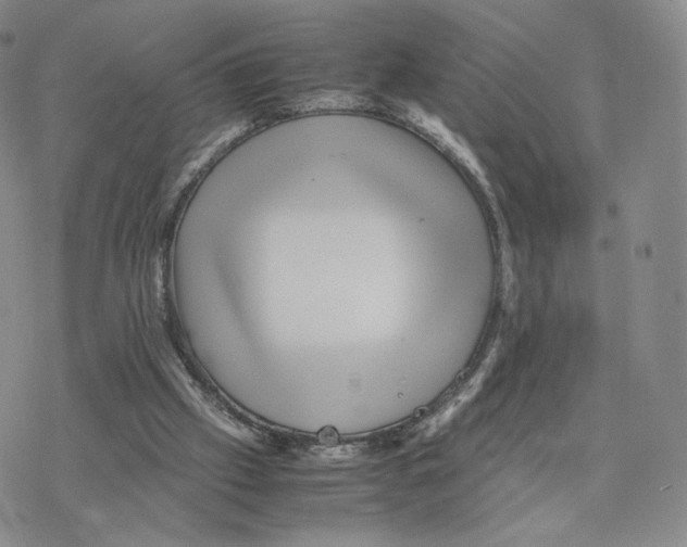 X0000077290057200611171637