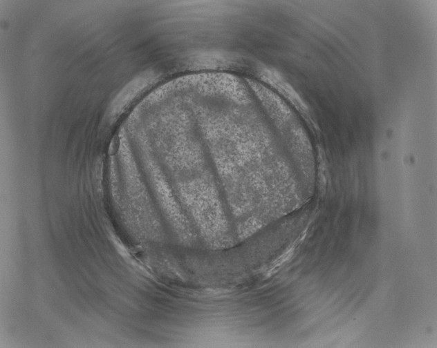 X0000077290058200611171637