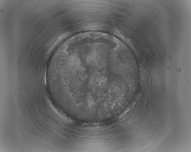 X0000077290062200611171637