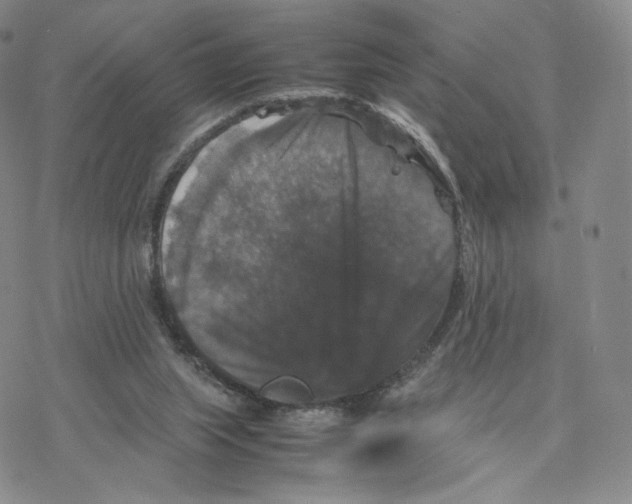 X0000077290063200611171637