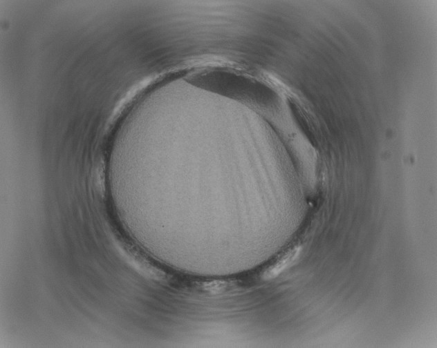 X0000077290064200611171637