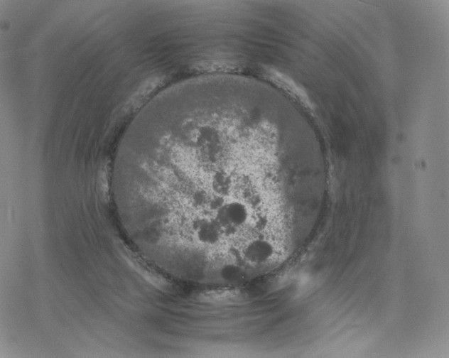 X0000077290065200611171637