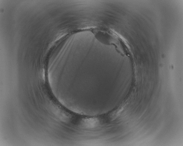 X0000077290067200611171638