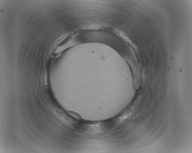 X0000077290068200611171638