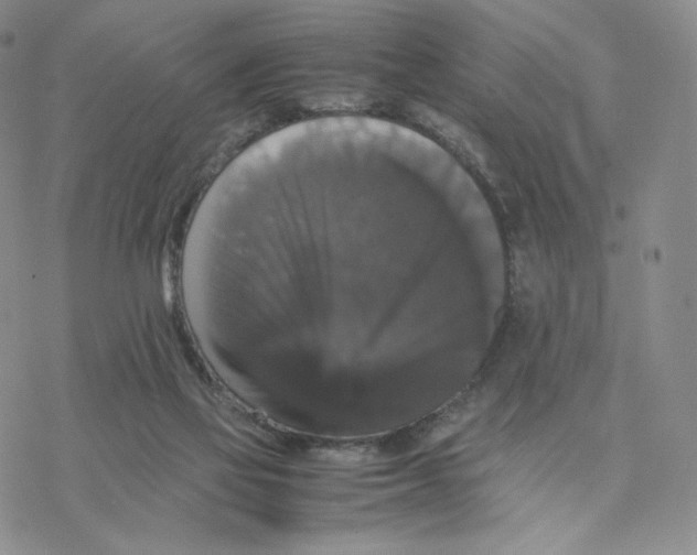 X0000077290069200611171638