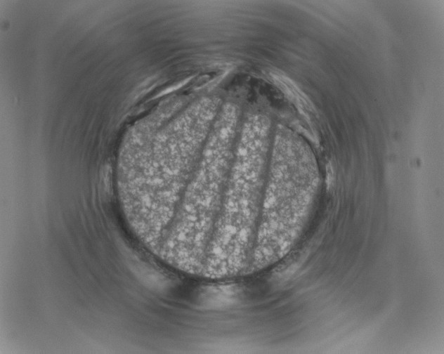 X0000077290071200611171638