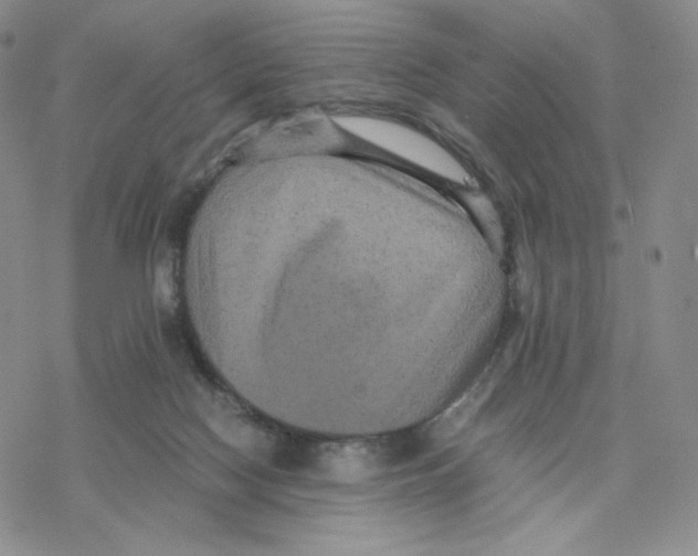 X0000077290074200611171638