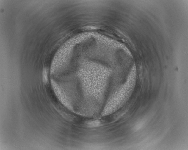 X0000077290075200611171638