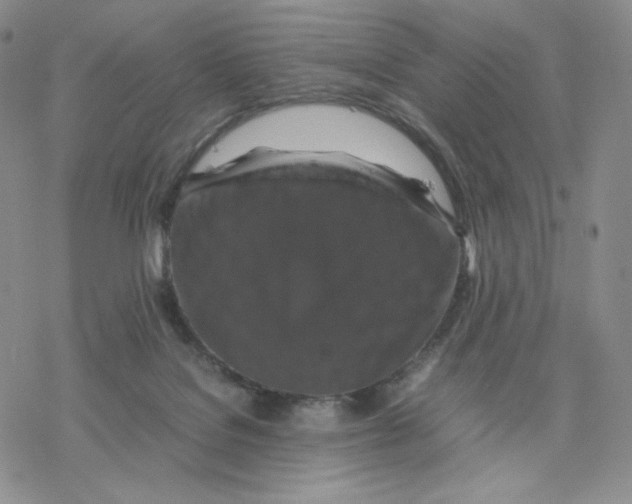 X0000077290076200611171638