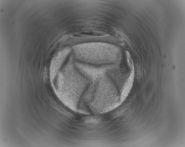 X0000077290077200611171638