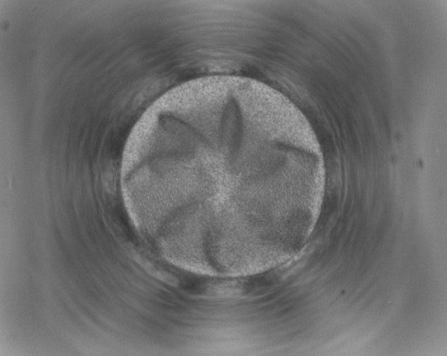 X0000077290078200611171638