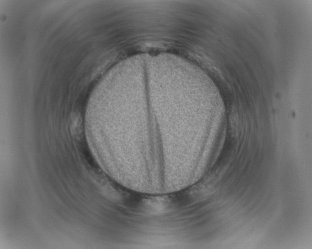 X0000077290079200611171638