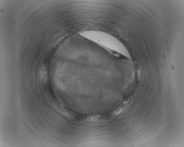 X0000077290080200611171638