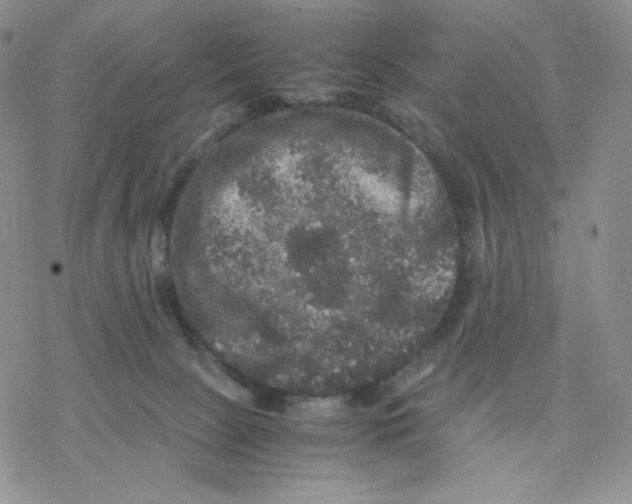 X0000077290081200611171638