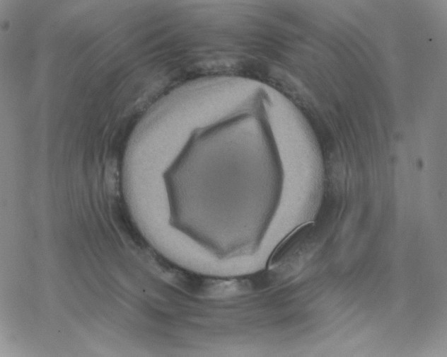 X0000077290083200611171638