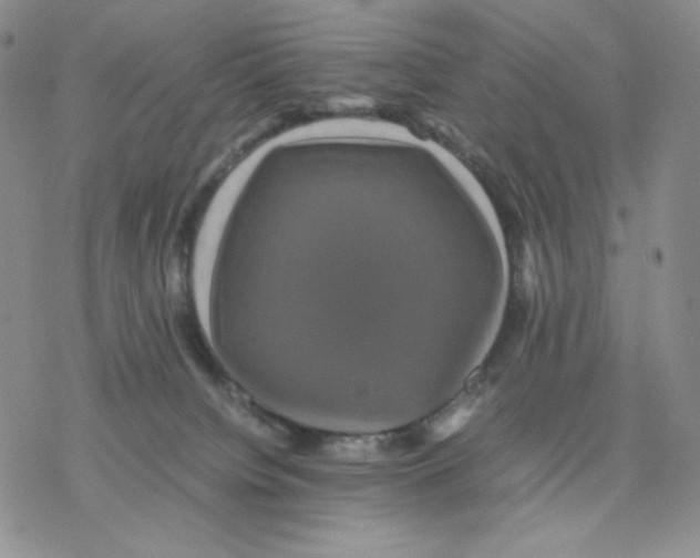 X0000077290084200611171638