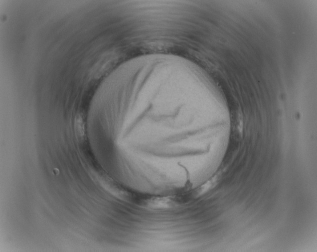 X0000077290086200611171638