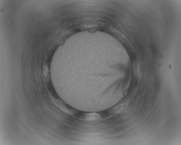 X0000077290087200611171638