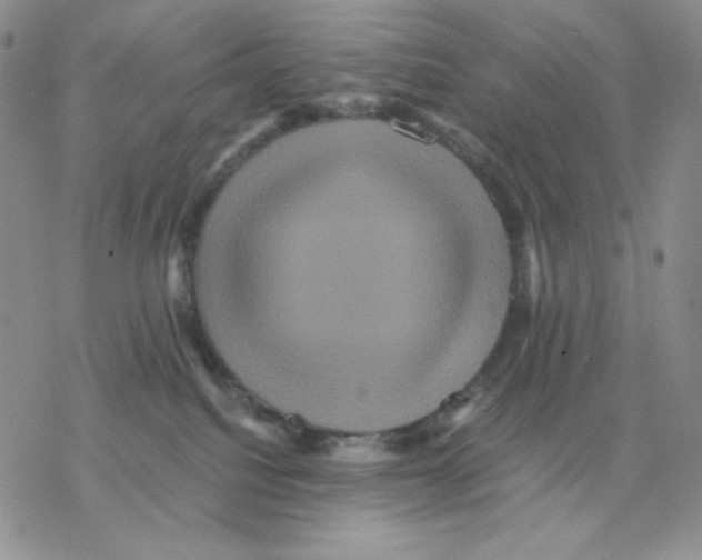 X0000077290088200611171638