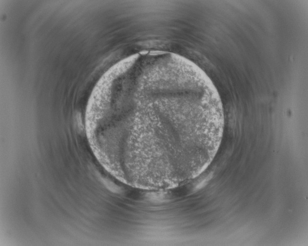 X0000077290089200611171638