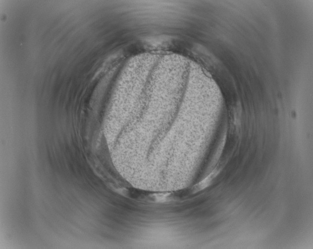 X0000077290090200611171638