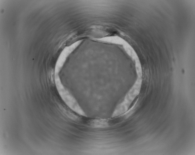 X0000077290094200611171638