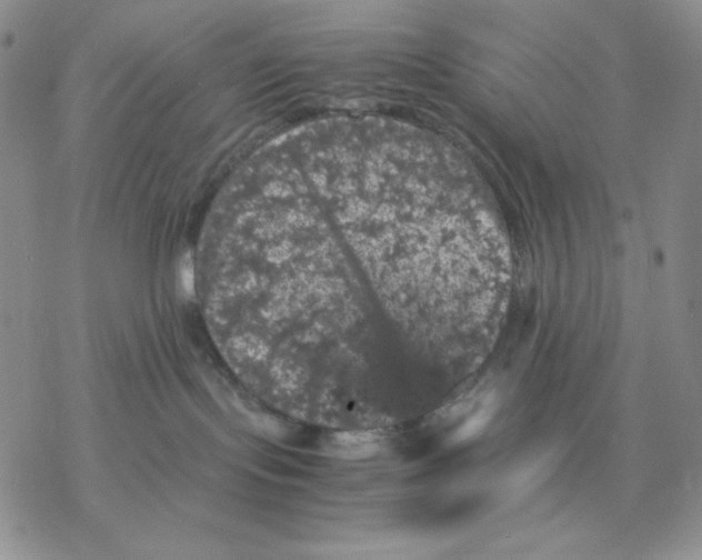 X0000077290095200611171638