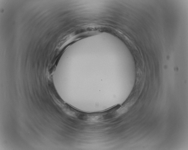 X0000077290096200611171638