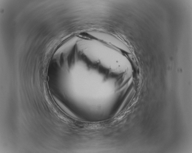 X0000077290097200611171637