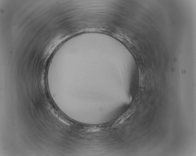 X0000077290098200611171637