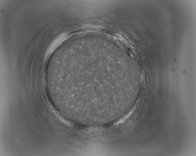 X0000077290101200611171637