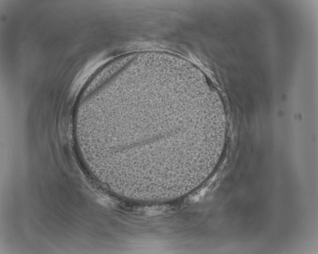 X0000077290103200611171637