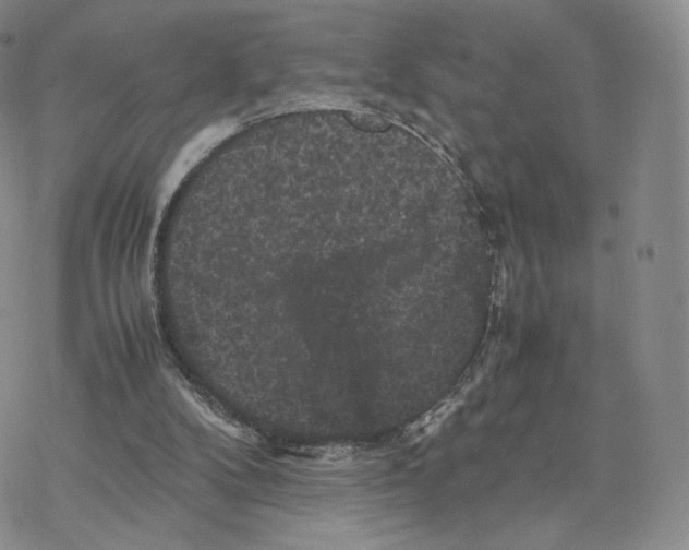 X0000077290104200611171637