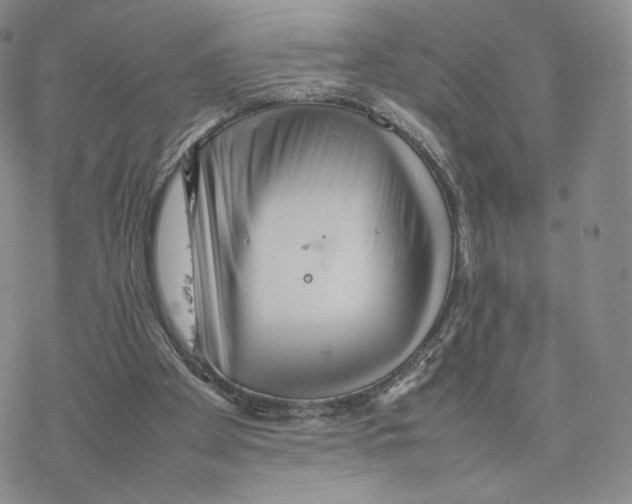 X0000077290105200611171637