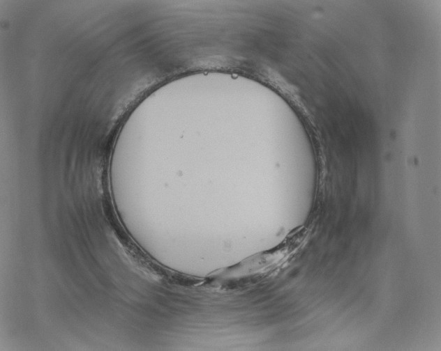 X0000077290106200611171637