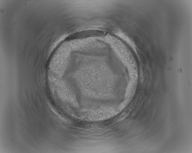 X0000077290107200611171637