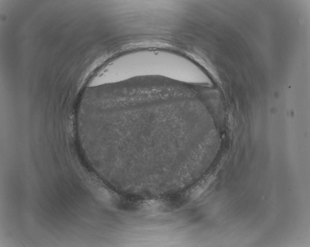 X0000077290111200611171637