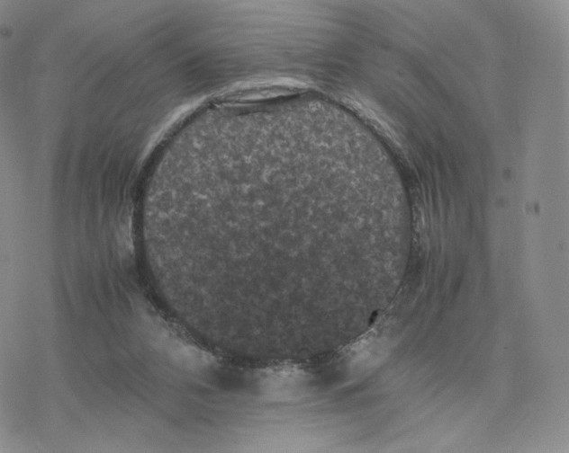 X0000077290112200611171637