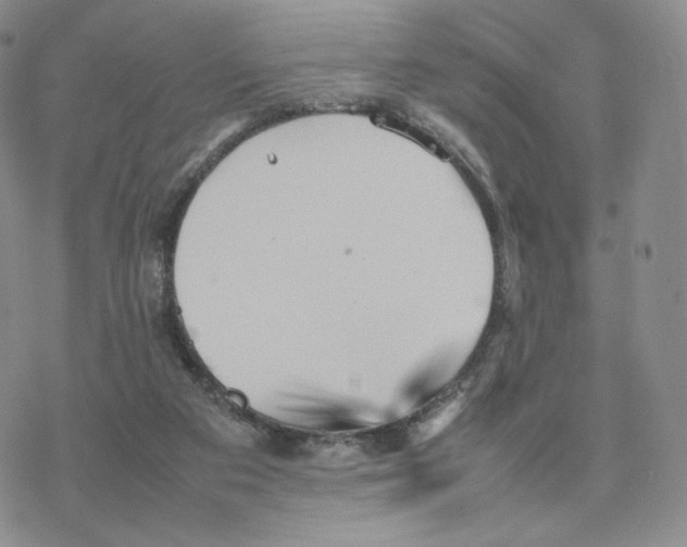 X0000077290113200611171637