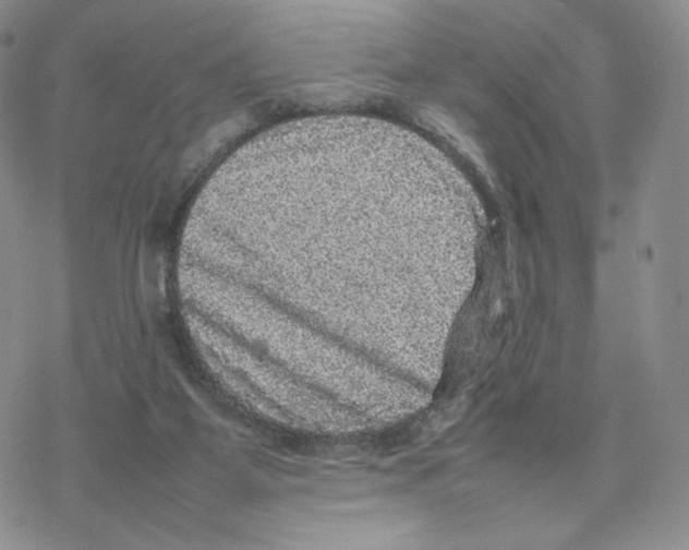 X0000077290115200611171637