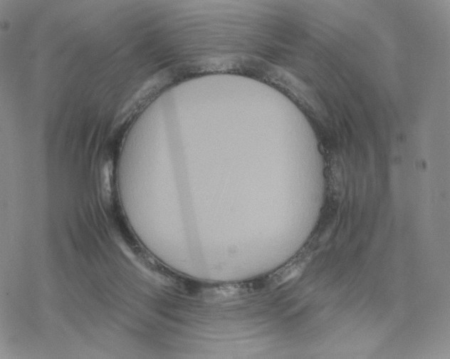 X0000077290118200611171637