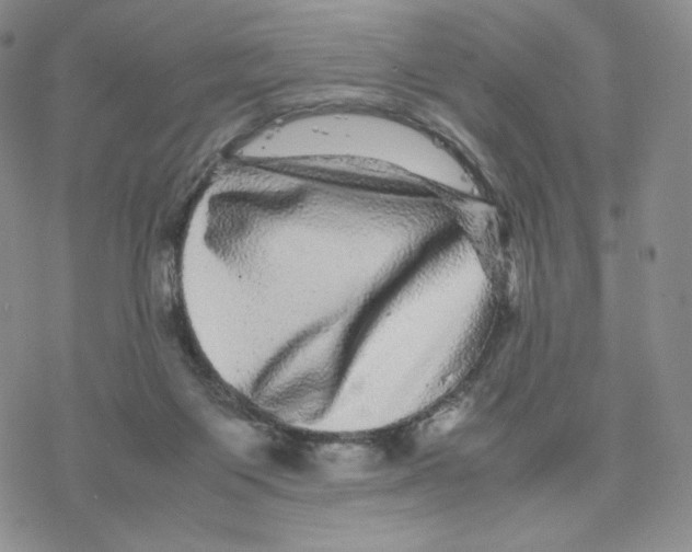 X0000077290119200611171637