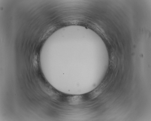 X0000077290122200611171637